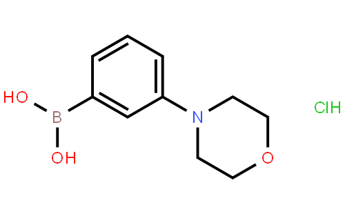 3-吗啉苯硼酸盐酸盐