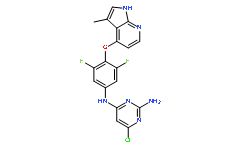 ROCK inhibitor
