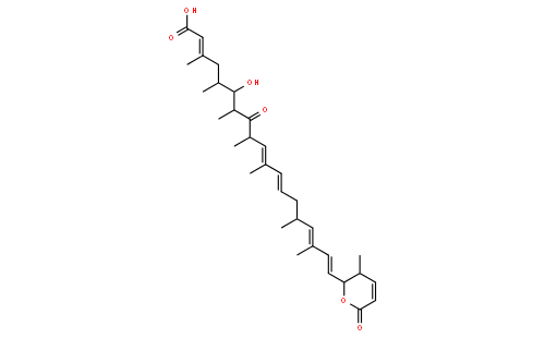 Leptomycin A