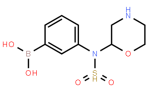 (3-(吗啉磺酰基)苯基)硼酸
