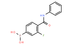 N-苯基4-硼基-2-氟苯甲酰胺