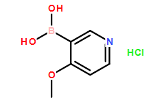 4-甲氧基吡啶-3-硼酸盐酸盐