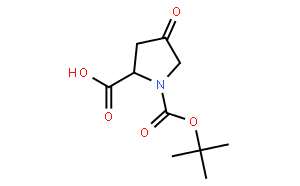 1-叔丁基-4-氧吡咯烷-2-羧酸