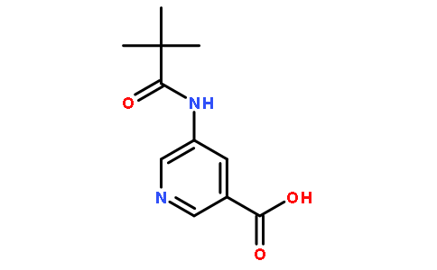 5-(2,2-DIMETHYL-PROPIONYLAMINO)-NICOTINIC ACID