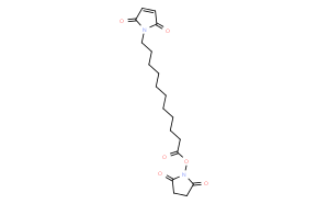 11-马来酰亚胺基十一烷酸琥珀酰亚胺酯