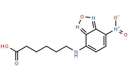 NBD-X [6-(N-(7-Nitrobenze-2-oxa-1,3-diazol-4-yl)amino)hexanoic acid