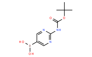 [2-(叔丁氧羰基氨基)嘧啶-5-基]硼酸