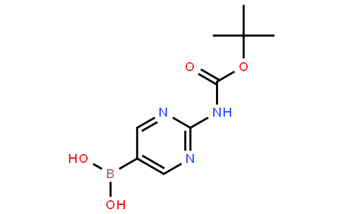 [2-(叔丁氧羰基氨基)嘧啶-5-基]硼酸