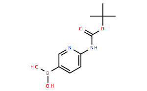 6-(tert-butoxycarbonylamino)pyridin-3-ylboronic acid