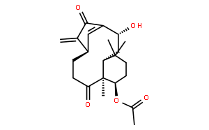 Kongensin A