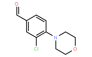 3-氯-4-(4-吗啉基)苯甲醛
