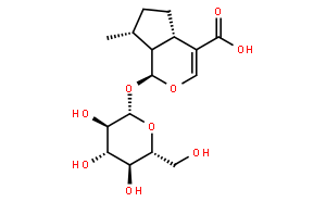 8-Epideoxyloganicacid