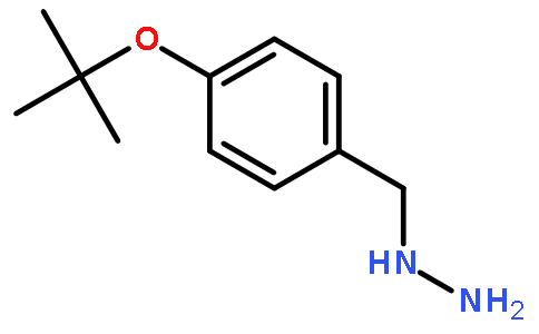1-(4-tert-butoxybenzyl)hydrazine