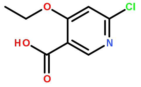 6-氯-4-乙氧基烟酸