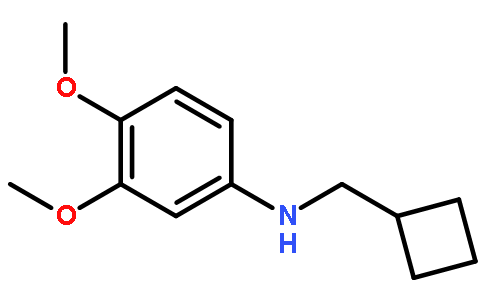 Cyclobutylmethyl-(3,4-dimethoxy-phenyl)-amine