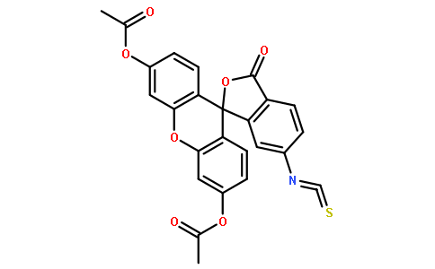 6-FITC DA ≥95%(HPLC)