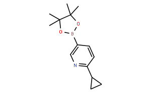 6-环丙基吡啶-3-硼酸频那醇酯