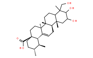 2ALPHA，3ALPHA，24-三羟基乌苏-12-烯-28-酸