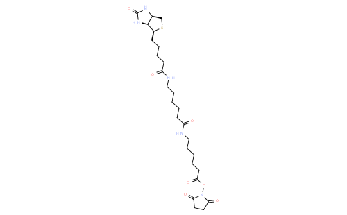 Succinimidyl-6-[6-(biotinamido)caproyl]caproylate