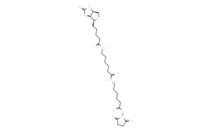 <i>N</i>-[6-(生物素氨基)己酰基]-6-氨基己酸N-琥珀酰亚胺酯