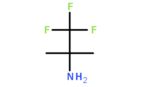 2，2，2-TRIFLUORO-1，1-DIMETHYL-ETHYLAMINE