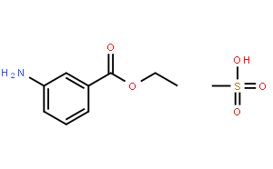 3-氨基苯甲酸乙酯甲磺酸酯