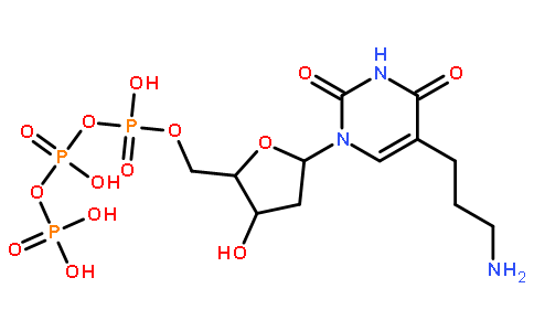 ((2R,3S,5R)-5-(5-(3-氨基丙基)-2,4-二氧代-3,4-二氢嘧啶-1(2H)-基)-3-羟基四氢呋喃-2-基)甲基三磷酸
