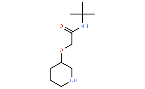 N-叔丁基-2-(3-哌啶基氧基)乙酰胺