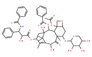 7-xylosyltaxol