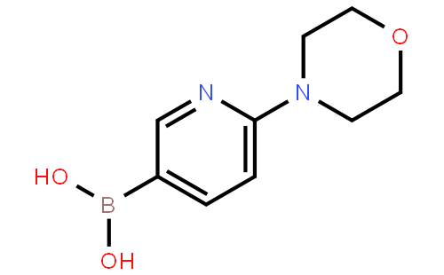 6-(4-吗啉基)-3-吡啶硼酸