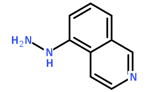 isoquinoline-5-yl-hydrazine