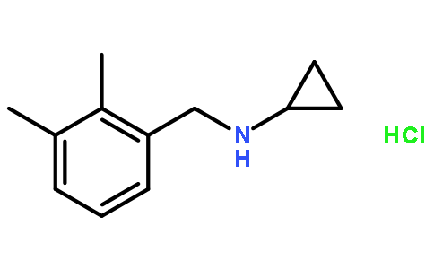 N-(2,3-dimethylbenzyl)cyclopropanamine hydrochloride
