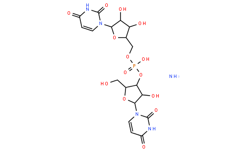 尿酸酶