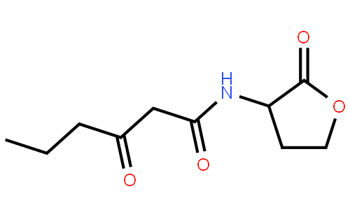 荧光素酶 来源于发光菌