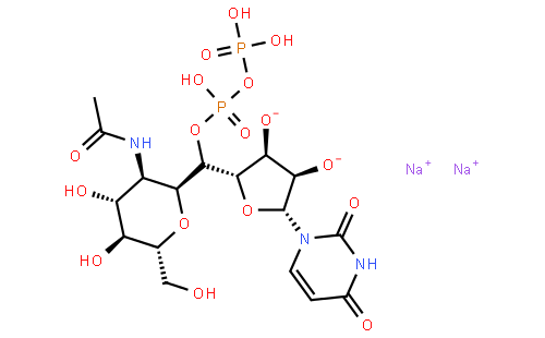 Uridine 5'-Diphospho-N-acetylglucosamine Disodium Salt