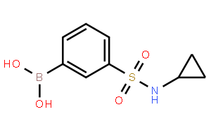 (3-(N-环丙基氨磺酰基)苯基)硼酸