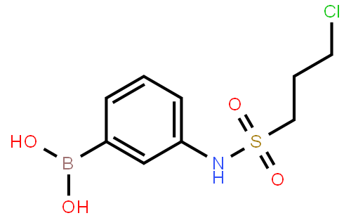 3-(3-chloropropylsulphonamido)benzeneboronic acid
