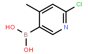 2-氯-4-甲基吡啶-5-硼酸