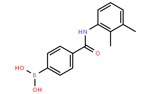 4-(2,3-Dimethylphenylcarbamoyl)phenylboronic acid