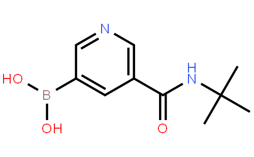 5-(叔丁基氨基甲酰基)吡啶-3-硼酸