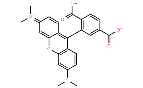 6-羧基四甲基罗丹明, for fluorescence