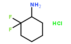 2,2-二氟環(huán)己胺鹽酸鹽