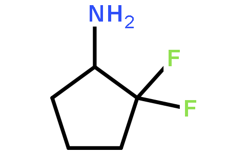 2,2-difluorocyclopentan-1-aMine