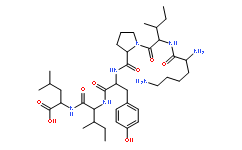 Neuromedin N (rat, mouse, porcine, canine)