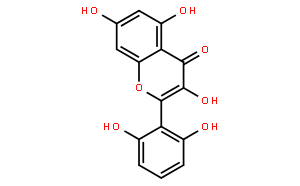 粘毛黃芩素I