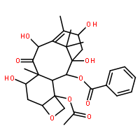 10-脫乙?；涂ǘ?III