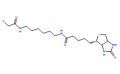 Iodoacetyl-LC-Biotin