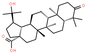 93372-87-3  20-Hydroxy-3-oxo-28-lupanoicacid