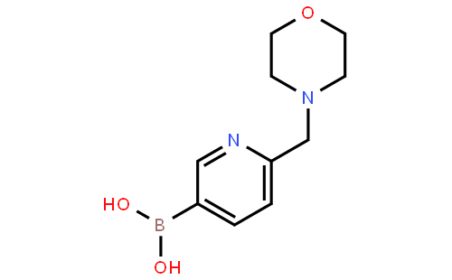 6-(4-Morpholinylmethyl)pyridine-3-boronic acid