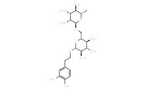 連翹酯苷E